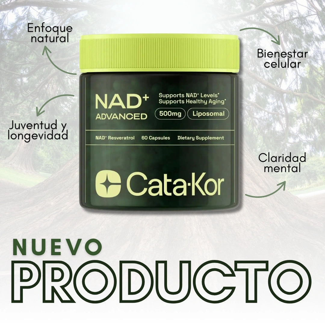 Encabezado