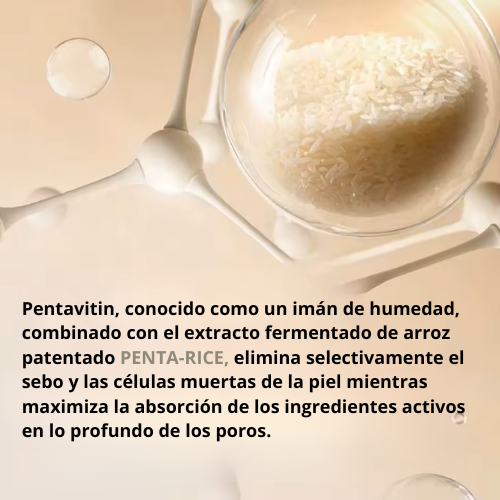 Encabezado